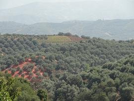 Bampiolos, Crete, Kreta.