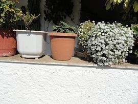 Patelari, Crete, Kreta.