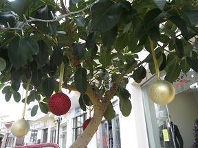 Kreta in de winter, Crete in winter