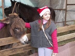 Kreta in de winter, Crete in winter