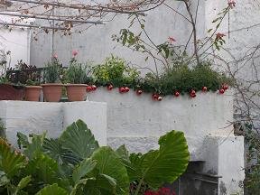 Kreta in de winter, Crete in winter