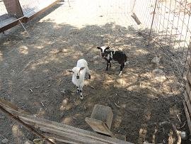Sfinari Beach, Kreta, Crete