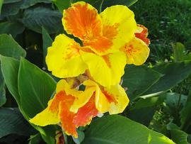 Potamida, Kissamos, Kreta, Crete