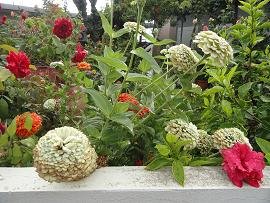 Skoutelonas, Kreta, Crete