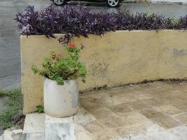 Snack Milos in Kolymbari, Kolimbari