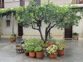 Gonia Monstery, Gonia klooster in Kolymbari, Kolimbari