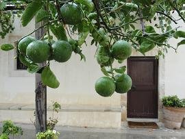 Gonia Monstery, Gonia klooster in Kolymbari, Kolimbari