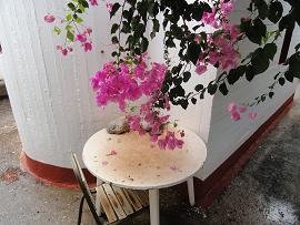 Afrata, Crete, Kreta