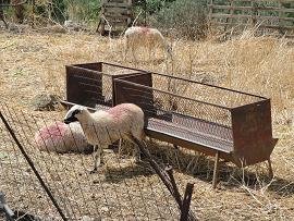 Rodopos, Crete, Kreta