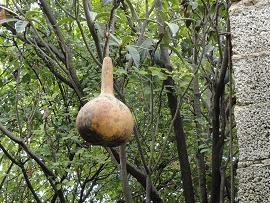 Rodopos, Crete, Kreta