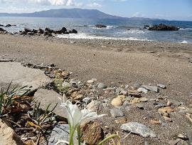 Ravdoucha, Ravdouha, Rodopos, Crete, Kreta