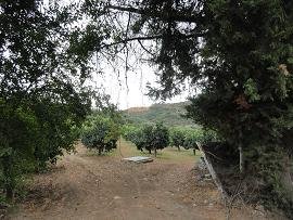 Modi, Crete, Kreta