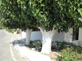 Modi, Crete, Kreta