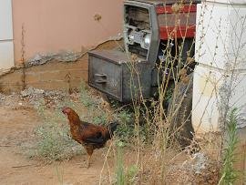 Varipetro, Crete, Kreta