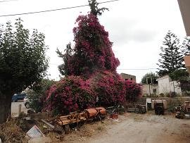 Varipetro, Crete, Kreta