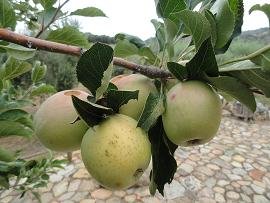 Agia Kyriaki & Kastelos, Varipetro, Crete, Kreta