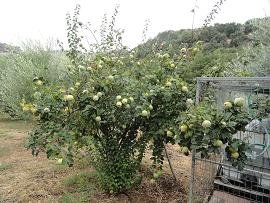 Agia Kyriaki & Kastelos, Varipetro, Crete, Kreta