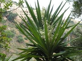 Agia Kyriaki & Kastelos, Varipetro, Crete, Kreta