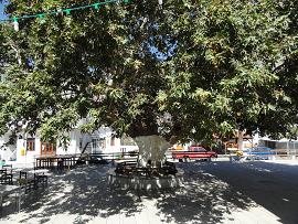 Akoumia Crete, Akoumia Kreta