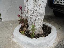 Eleftherna Crete, Kreta