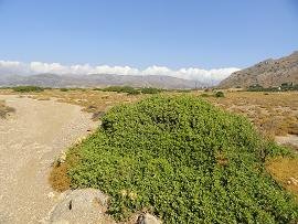 Lagada, Makrigialos, Crete, Kreta