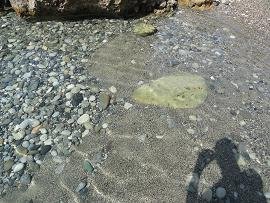 Lagada, Makrigialos, Crete, Kreta