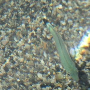 Lagada, Makrigialos, Crete, Kreta