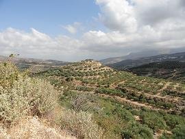 Farmakokefalo, Crete, Kreta
