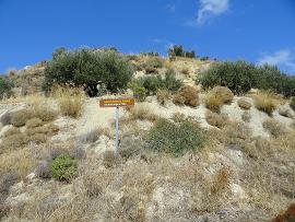 Farmakokefalo, Crete, Kreta