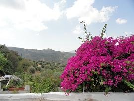 Agios Spyridon, Crete, Kreta