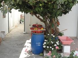 Chandras, Handras, Crete, Kreta