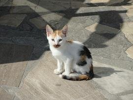 Ierapetra, Crete, Kreta