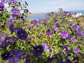 Elounda Solfez Villas, Crete, Kreta