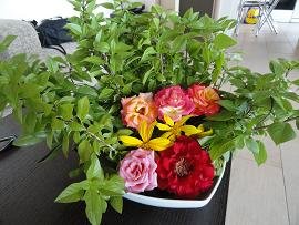 Elounda Solfez Villas, Crete, Kreta