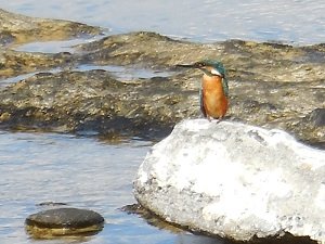 Pachia Ammos Beach, Crete, Kreta