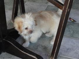 Pachia Ammos Beach, Crete, Kreta