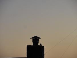 Ariana's Place, Kastelli Kissamos, Kreta, Crete