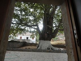 Theriso Crete, Kreta.