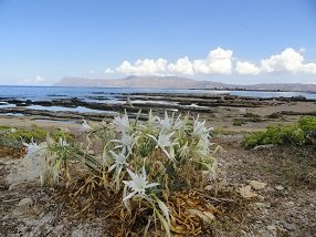 Kaliviani Beach, Crete, Kreta