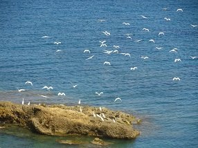 Kaliviani Beach, Crete, Kreta