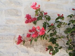 Villa Athina, Villa in Crete, Kokkino Chorio, Kreta