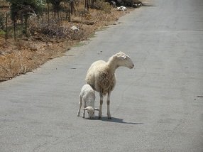 Frangokastello, Frangokastelo, Crete, Kreta.