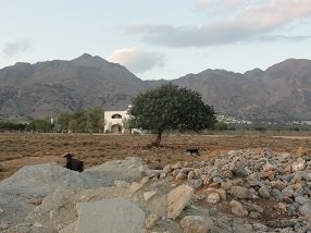Frangokastello, Frangokastelo, Crete, Kreta.