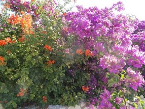 Plaka, Almyrida, Almirida Beach, Kreta, Crete
