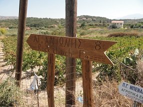 Tsivaras, Kreta, Crete