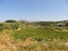 Tsivaras, Kreta, Crete