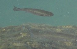 Georgioupoli, Crete, Kreta