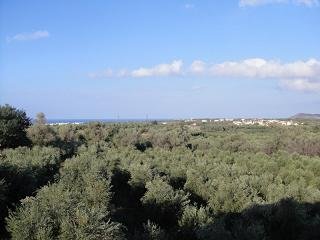 Apollonia Villas in Agios Nikolaos Village, Rethymno, Crete, Kreta