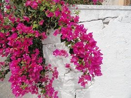 Douliana, Crete, Kreta