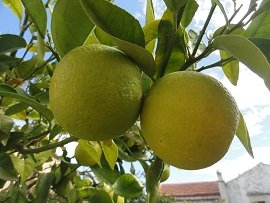 Douliana, Crete, Kreta